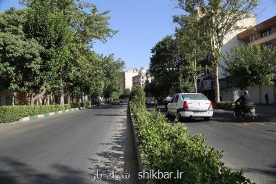 بهسازی و بازپیرایی خیابان مجاهدین اسلام