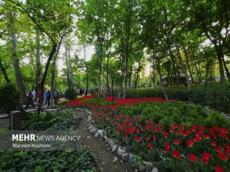 همه بوستان ها برای روز طبیعت باز است