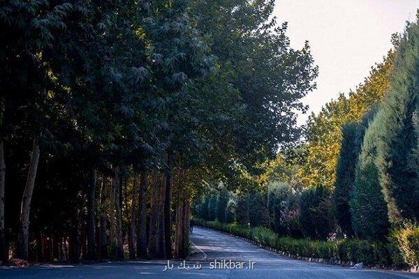 تملک 7 باغ در تهران برای تبدیل به بوستان در محلات کم برخوردار