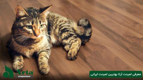 بهترین پارکت لمینت ایرانی