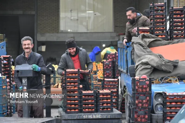 کنترل قیمت و کیفیت اقلام یلدایی در میادین میوه و تره بار