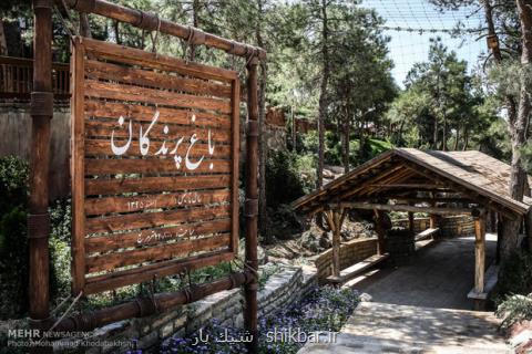 توسعه فضا و خدمات در بازار خرید و فروش پرندگان