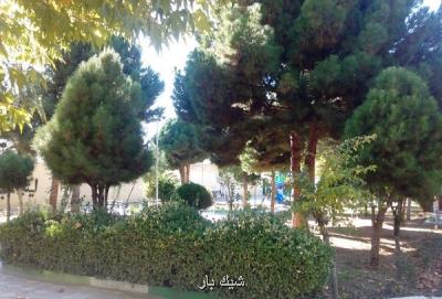 تاكید شهرداری تهران بر تعطیلی بوستان های جنگلی